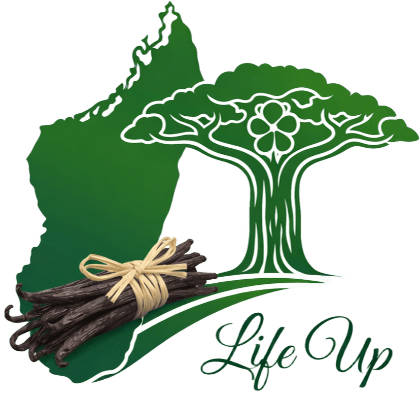 Soa Life Up — Madagascar Baobab